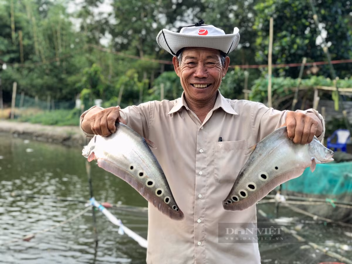 Nuôi loại cá đặc sản, một nông dân Hậu Giang trở thành tỷ phú Nuoi loai ca dac san, mot nong dan Hau Giang tro thanh ty phu