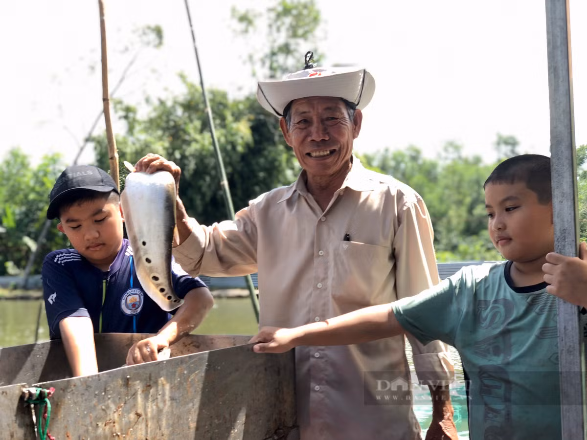 Nuôi loại cá đặc sản, một nông dân Hậu Giang trở thành tỷ phú - Hình 4 Nuoi loai ca dac san, mot nong dan Hau Giang tro thanh ty phu-Hinh-4