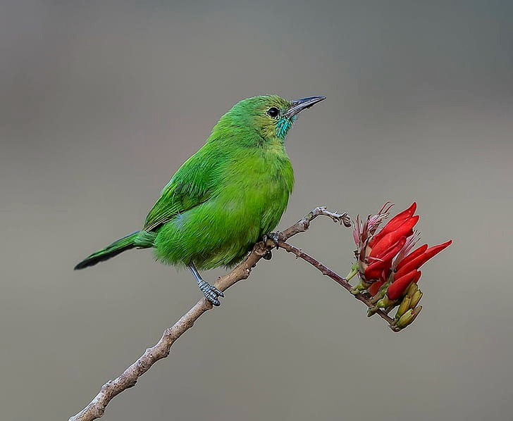 Sinh thang Am lich nay ca doi thien luong, vuong van quy nhan-Hinh-4