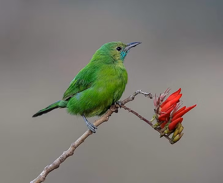 Sinh thang Am lich nay ca doi thien luong, vuong van quy nhan-Hinh-4