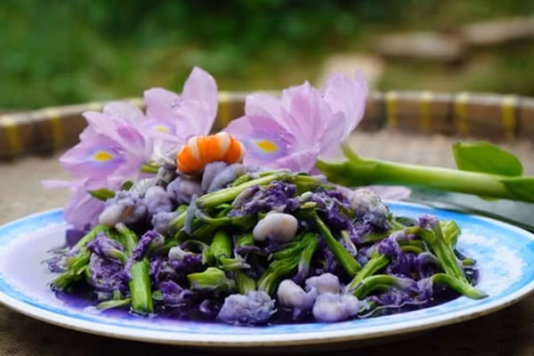 Loai cay nguoi Viet thuong vut bo hoa ra lai la vi thuoc quy