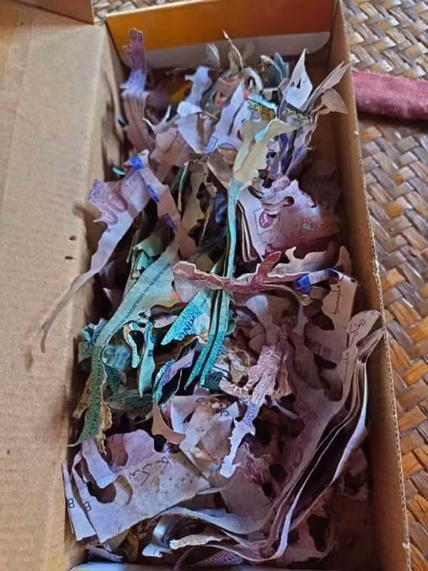 Cất giữ tiền tiết kiệm, cụ bà đau đớn khi mở ra sau thời gian dài Cat giu tien tiet kiem, cu ba dau don khi mo ra sau thoi gian dai