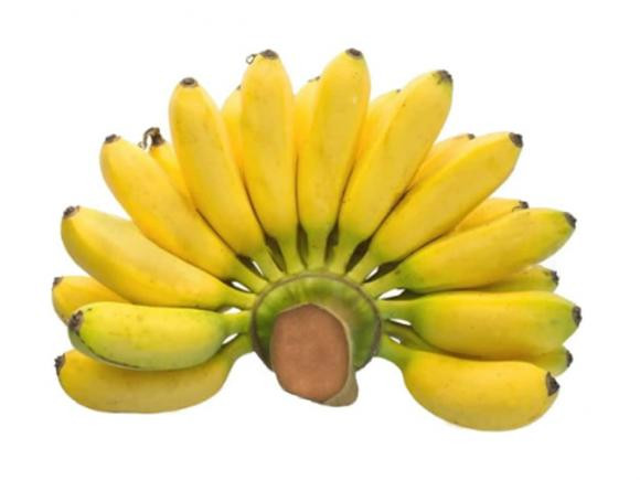 Vao ngay mung 1 thang 7 am, co 5 loai qua 