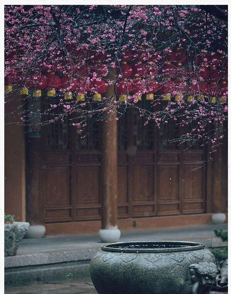 Nguoi xua dan: 'Truoc trong tao, sau trong mai, Dong trong luu, Tay trong hong'