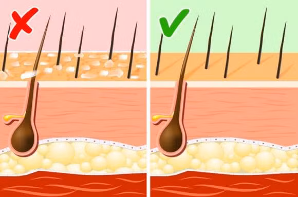 Dieu gi se xay ra voi lan da neu ban uong nuoc am moi ngay?-Hinh-3