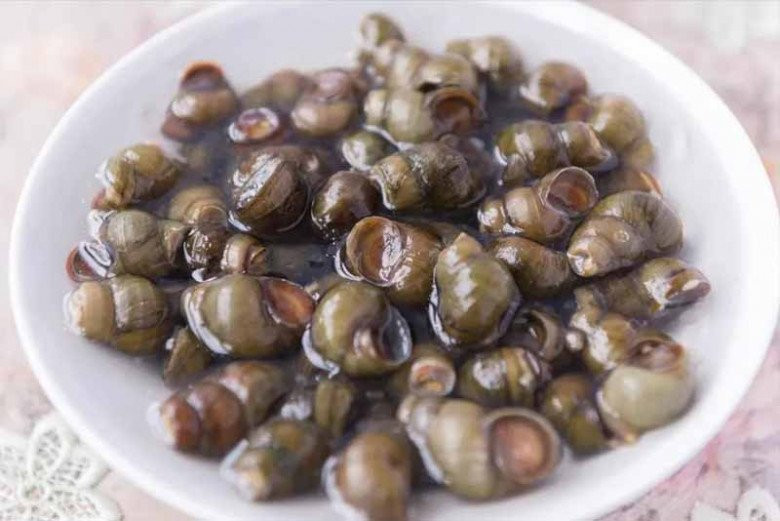 Oc mua ve dung luoc ngay, ngam voi thu nay het sach bun dat-Hinh-5