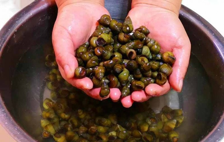 Oc mua ve dung luoc ngay, ngam voi thu nay het sach bun dat