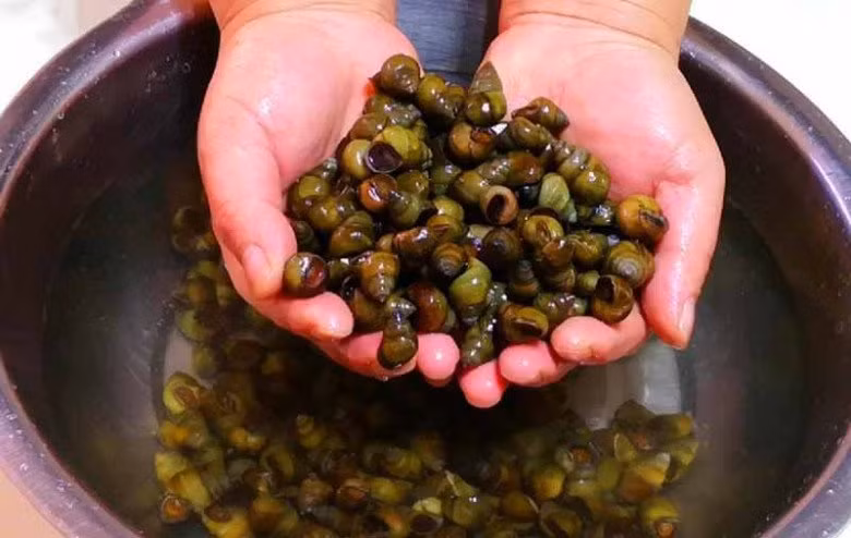 Oc mua ve dung luoc ngay, ngam voi thu nay het sach bun dat