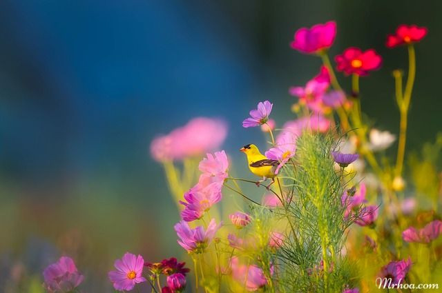 Người có giờ sinh này thường có năng khiếu nghệ thuật và có khả năng thể hiện tài năng trong lĩnh vực mình theo đuổi. Họ không sợ thử thách. Họ dồn hết tâm sức vào để hoàn thiện bản thân, thành công trong công việc, kiếm ra nhiều tiền. *Thông tin trong bài chỉ mang tính chiêm nghiệm, tham khảo