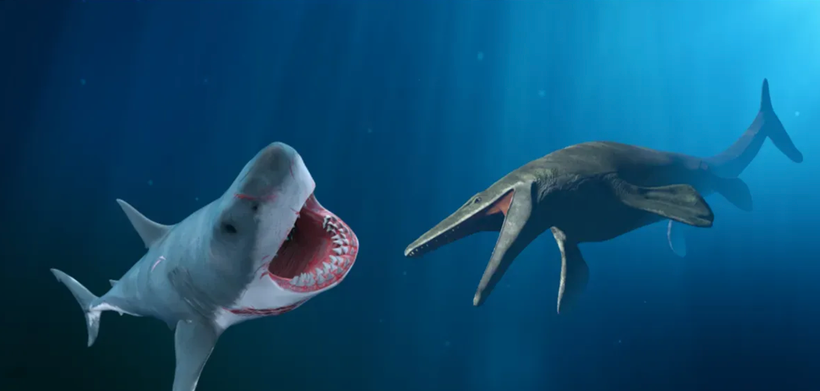 Ke thang tran chien giua ca map Megalodon va than lan