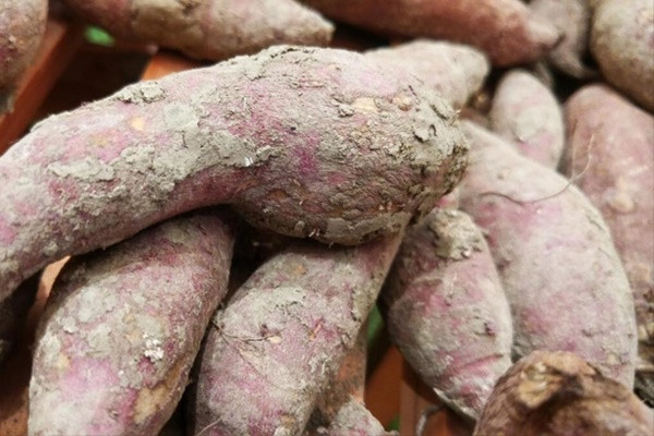 5 thuc pham hai suc khoe nha nao cung co-Hinh-5