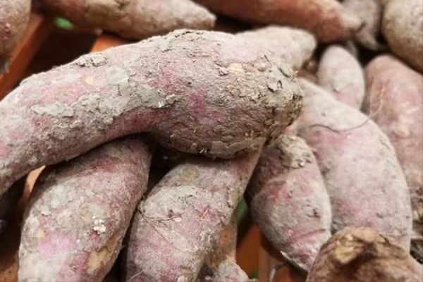 5 thuc pham hai suc khoe nha nao cung co-Hinh-5