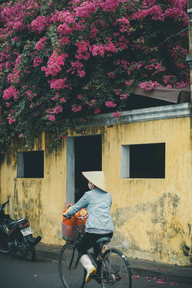 Bao My goi y 10 diem du lich nen trai nghiem tai Viet Nam-Hinh-6