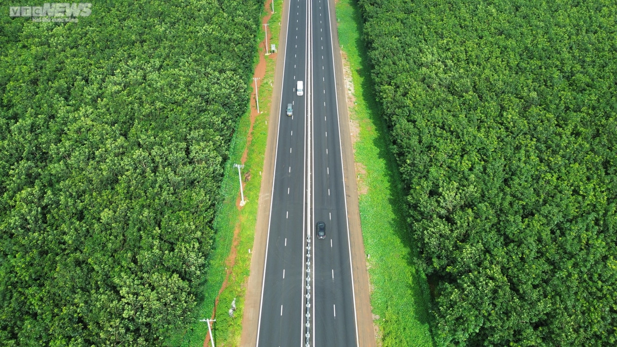 Ghi nhận của PV VTC News ngày 20/7 đoạn qua huyện Cẩm Mỹ (Đồng Nai), sau mùa thay lá, những rừng cao su bạt ngàn nay đuợc phủ màu xanh mướt, ôm trọn tuyến cao tốc.