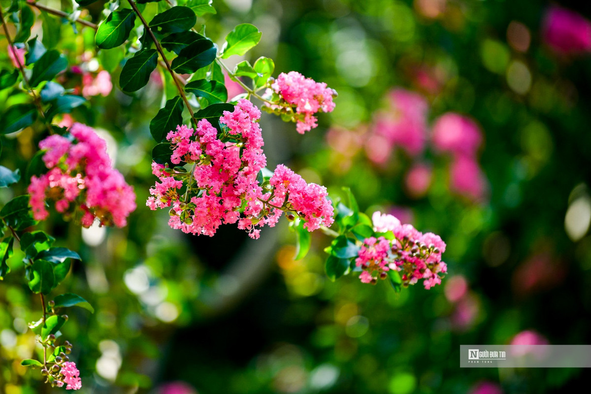 Nguoi dan thich thu check-in trong mua tuong vi no ro-Hinh-9