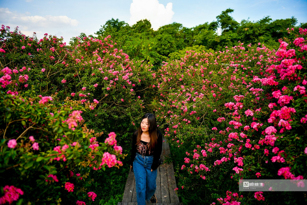 Nguoi dan thich thu check-in trong mua tuong vi no ro-Hinh-6