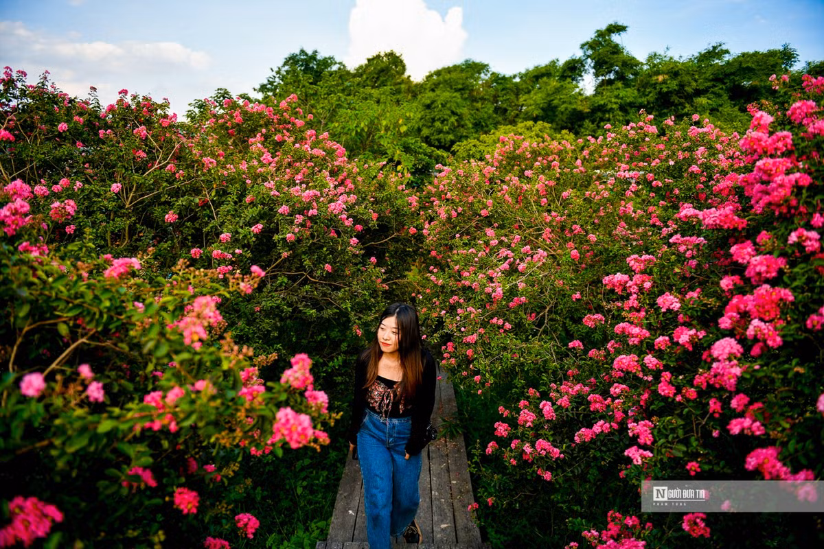 Nguoi dan thich thu check-in trong mua tuong vi no ro-Hinh-6