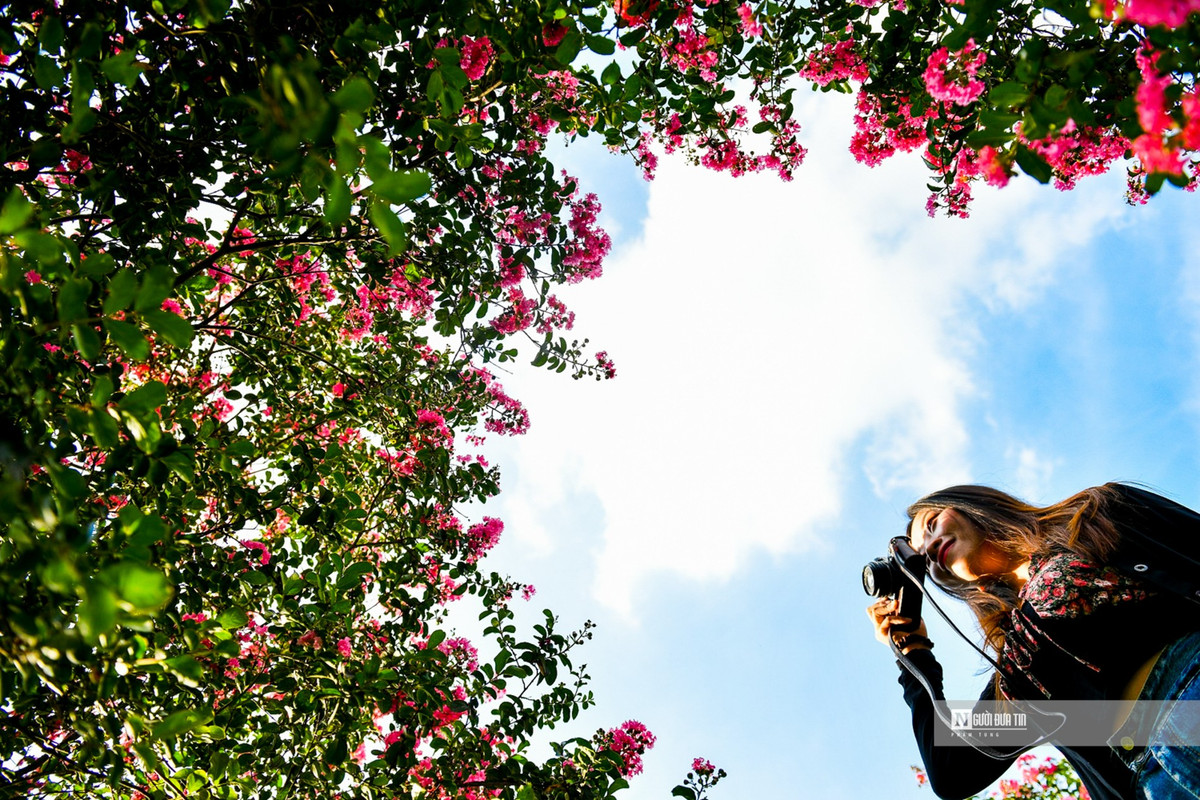 Nguoi dan thich thu check-in trong mua tuong vi no ro-Hinh-7