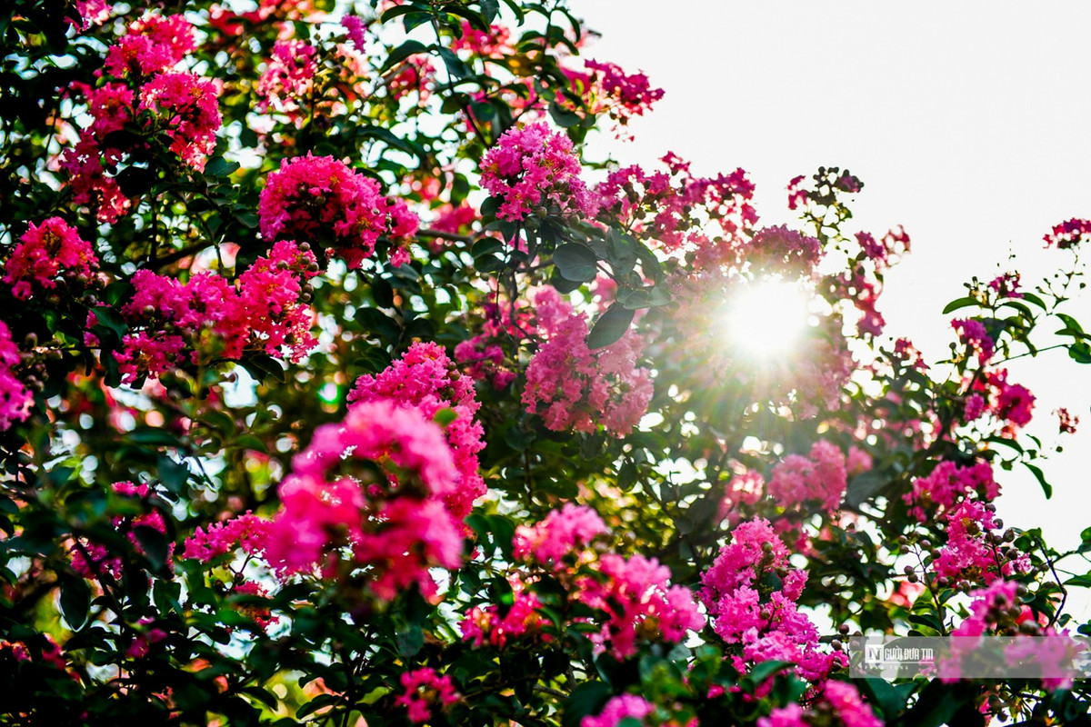 Nguoi dan thich thu check-in trong mua tuong vi no ro