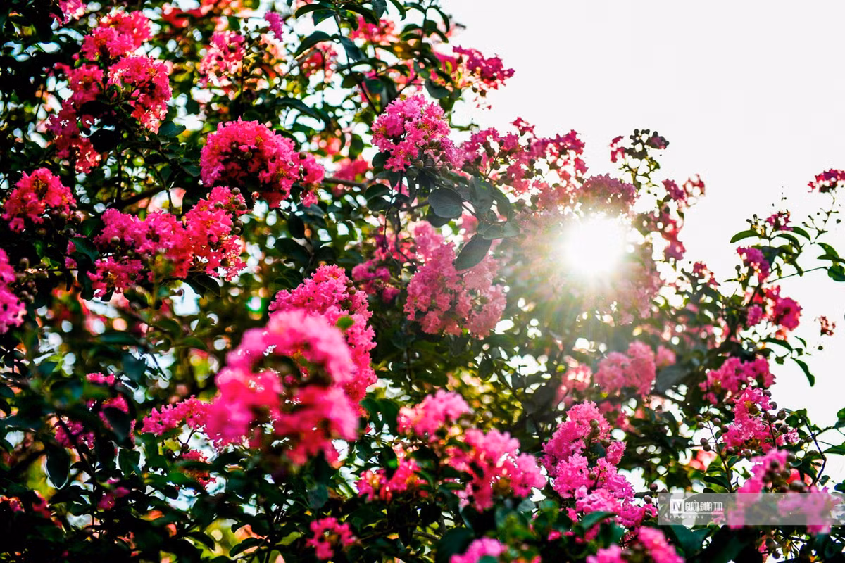 Nguoi dan thich thu check-in trong mua tuong vi no ro