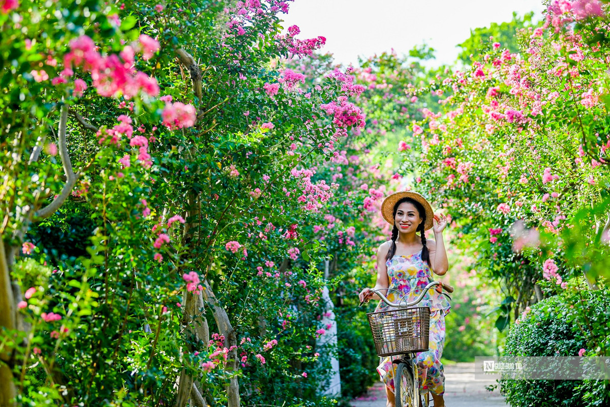 Nguoi dan thich thu check-in trong mua tuong vi no ro-Hinh-4