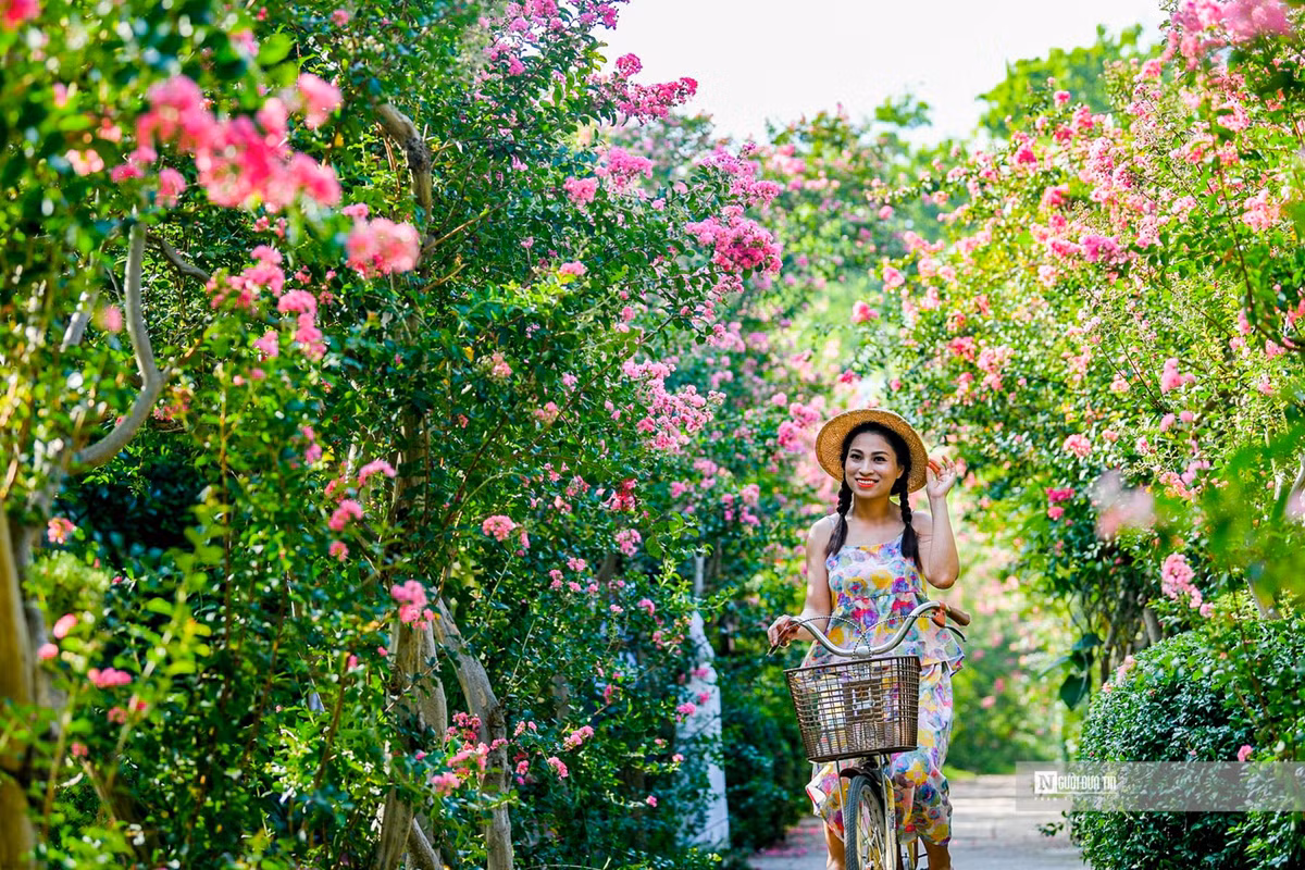 Nguoi dan thich thu check-in trong mua tuong vi no ro-Hinh-4