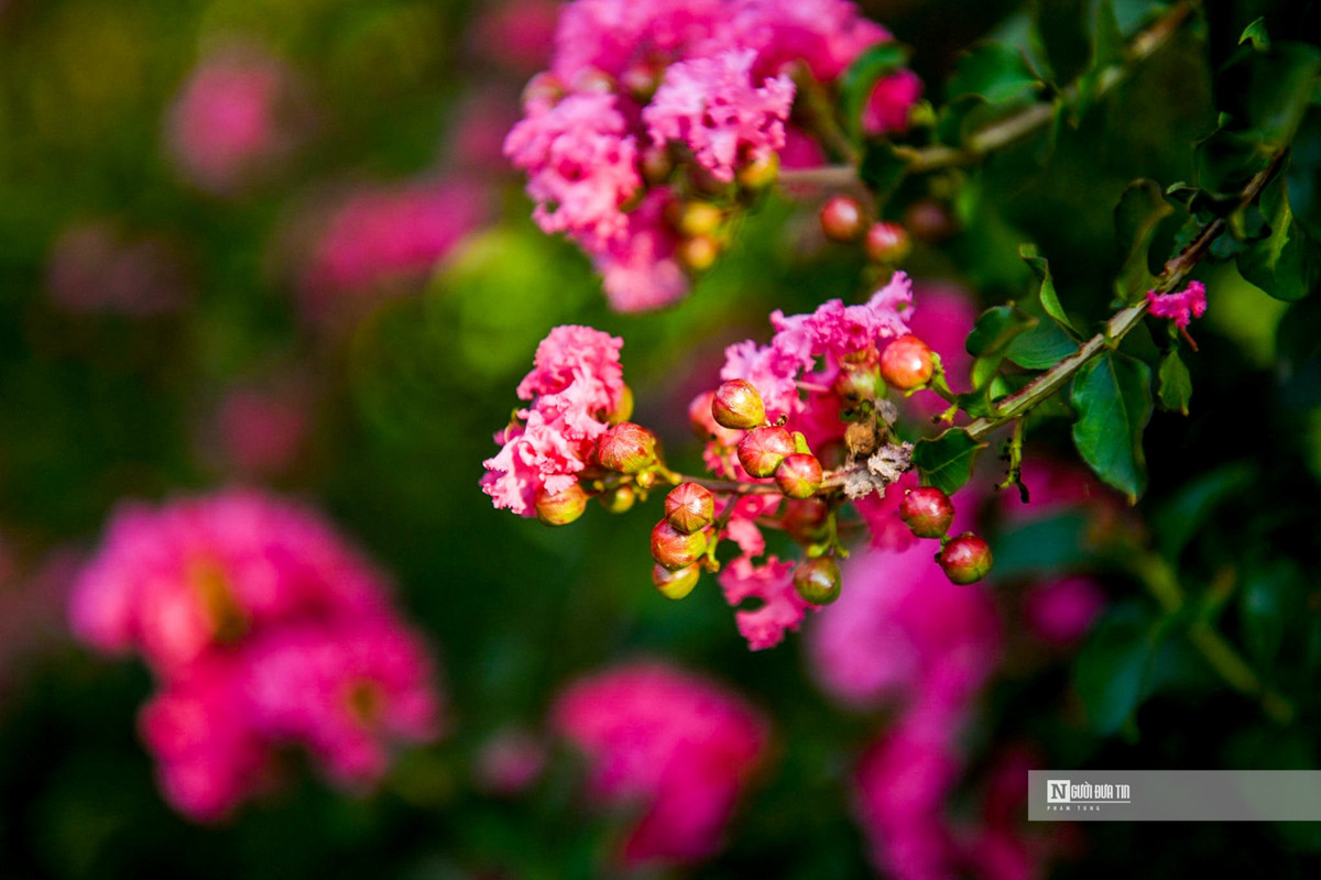 Nguoi dan thich thu check-in trong mua tuong vi no ro-Hinh-2