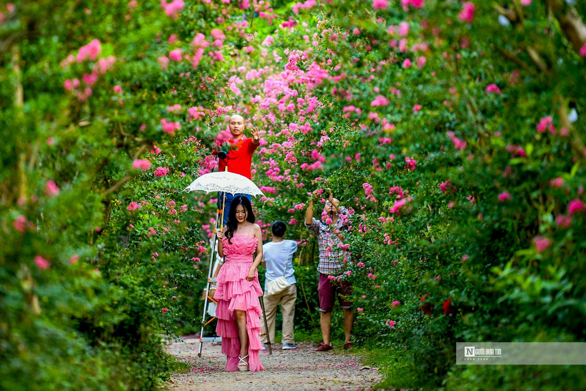 Nguoi dan thich thu check-in trong mua tuong vi no ro-Hinh-5