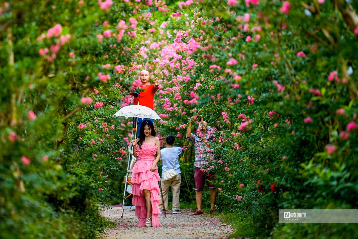 Nguoi dan thich thu check-in trong mua tuong vi no ro-Hinh-5