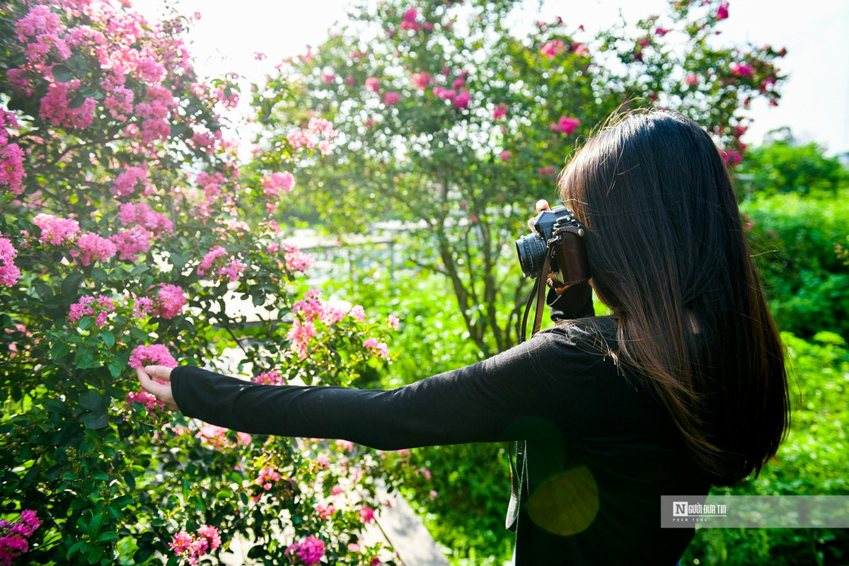 Nguoi dan thich thu check-in trong mua tuong vi no ro-Hinh-8