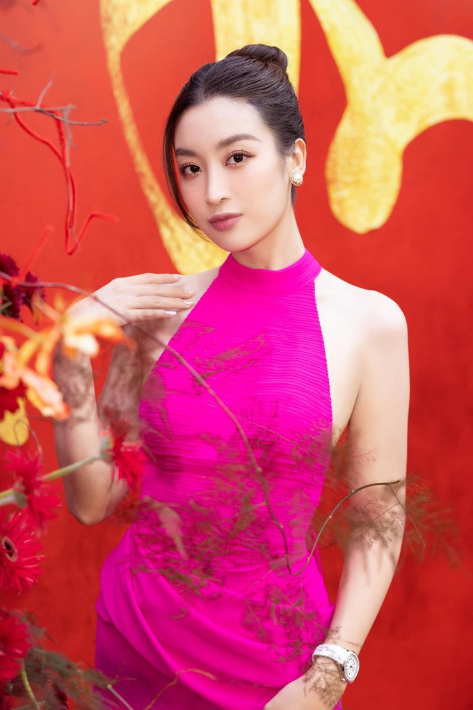 Do My Linh lam dau hao mon: Song kin tieng, am tham sinh con-Hinh-10