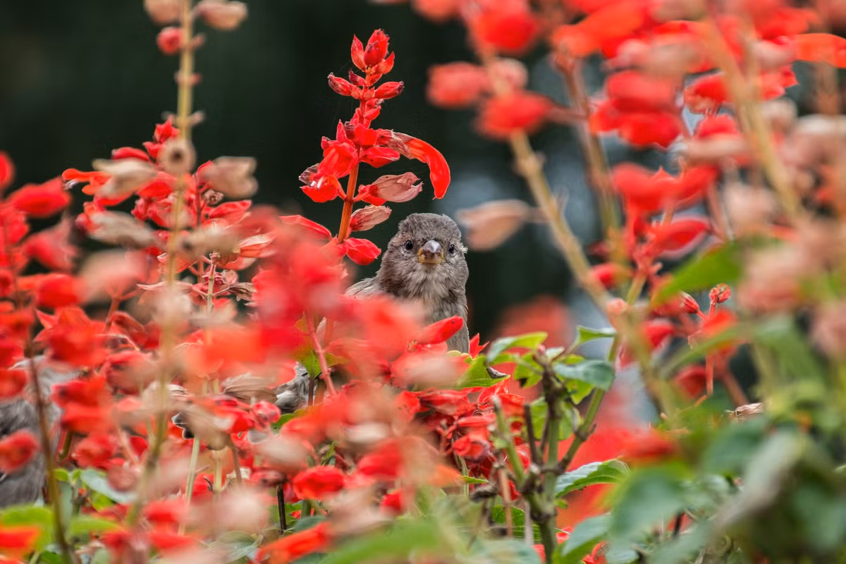 Ai sinh thang Am lich nay gat hai nhieu co hoi lam giau-Hinh-3