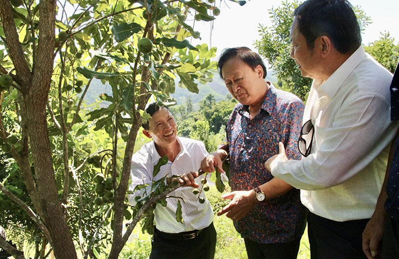 Một lần kết duyên ‘nữ hoàng’ 50 năm thu lợi, nhà giàu Dubai hỏi thăm - Hình 2 Mot lan ket duyen ‘nu hoang’ 50 nam thu loi, nha giau Dubai hoi tham-Hinh-2