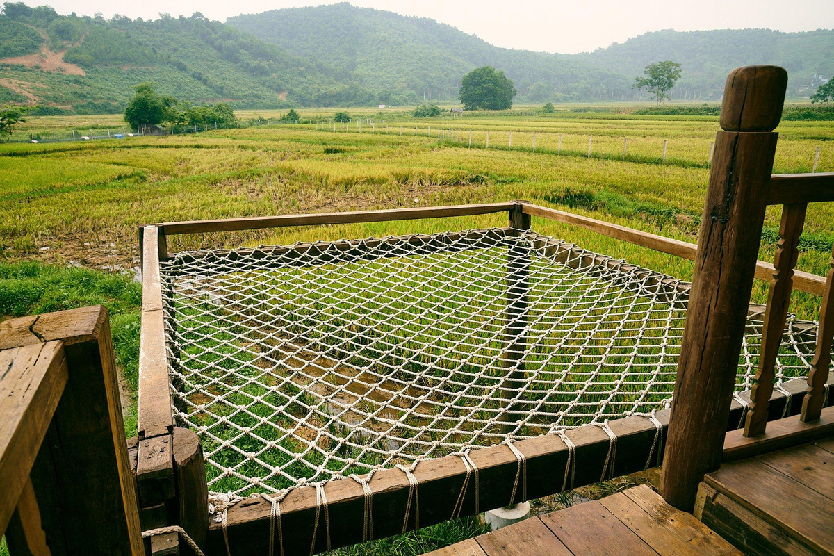 Khu nhà gỗ dùng nội thất tái chế của cặp vợ chồng ở Hòa Bình - Hình 31 Khu nha go dung noi that tai che cua cap vo chong o Hoa Binh-Hinh-31