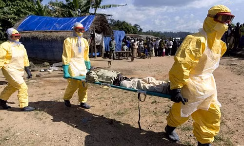 Nhân viên y tế di chuyển bệnh nhân nhiễm bệnh đến khu cách ly.