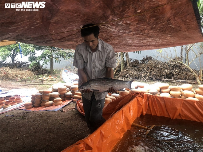 Cá kho của làng Vũ Đại nhiều năm nay rất đắt khách, trở thành đặc sản Tết được giới sành ăn săn lùng. Những ngày này, anh Trần Đức Phong lại đang tất bật kho cá phục vụ thị trường Tết Tân Sửu.