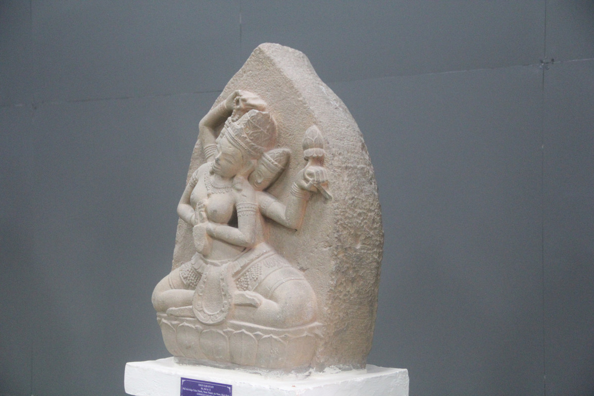 Can canh phu dieu nu than nang 200kg, hiem thay o Binh Dinh-Hinh-3