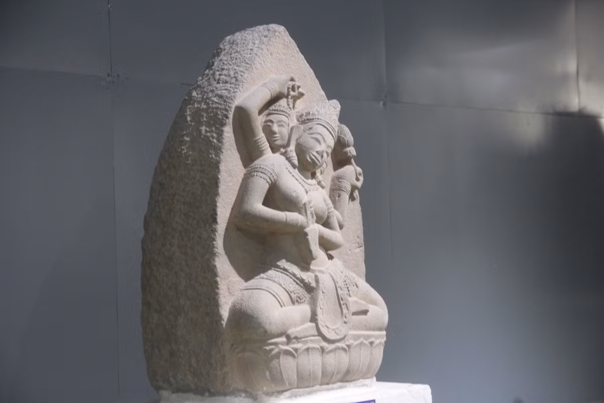 Can canh phu dieu nu than nang 200kg, hiem thay o Binh Dinh-Hinh-2