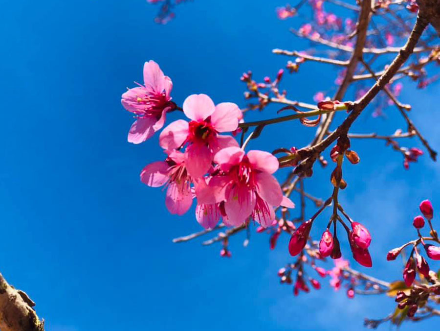 Me lap di chuc tang nha cho con trai nhung dau om tim den con gai