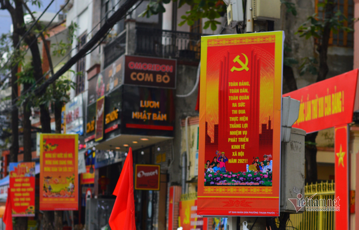 Duong pho Da Nang ruc ro co hoa chao mung Dai hoi Dang-Hinh-10