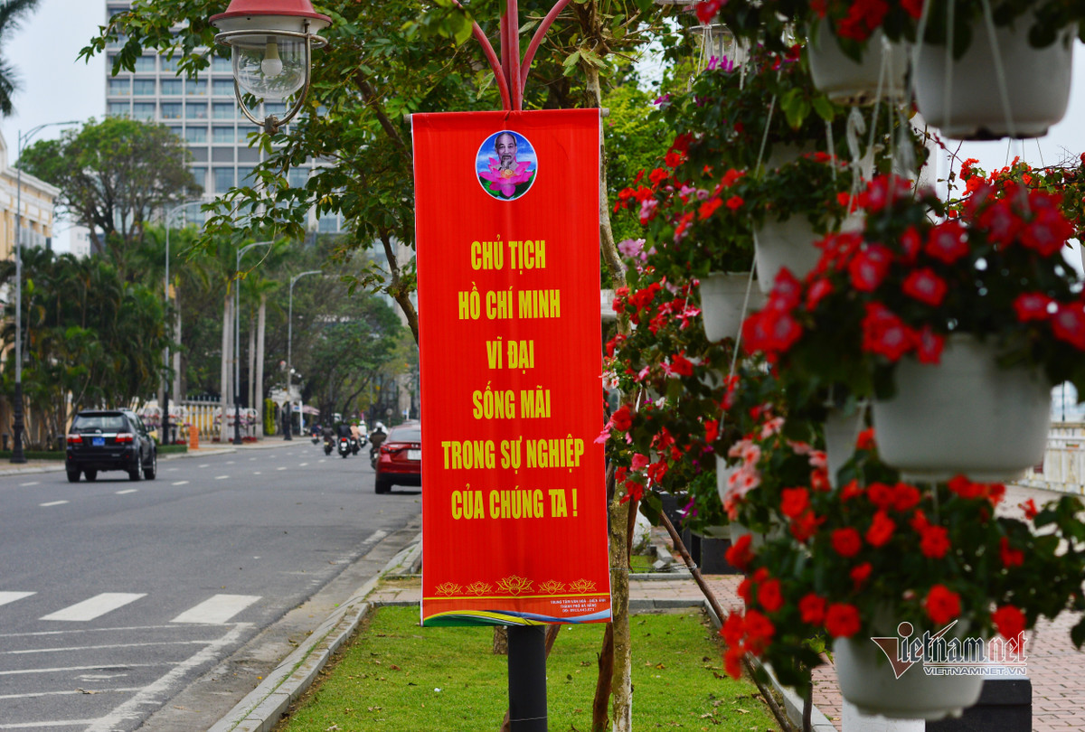 Duong pho Da Nang ruc ro co hoa chao mung Dai hoi Dang-Hinh-9