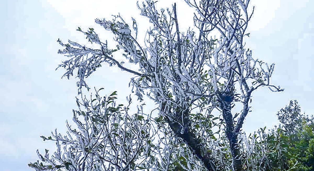 Không khí lạnh tăng cường khiến nhiệt độ tại Bắc Bộ tiếp tục giảm sâu. Ngày 11-13/1, các tỉnh đồng bằng chuyển sang trạng thái rét khô với nhiệt độ thấp nhất 8-10 độ C, độ ẩm giảm hơn so với những ngày qua. Nhiệt độ vùng núi thấp phổ biến 4-7 độ C.