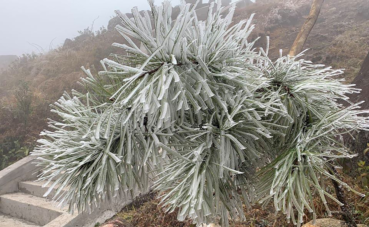 Đường dẫn lên cột mốc 1337 thuộc xã Quảng Sơn, huyện Hải Hà, xuất hiện băng tuyết.