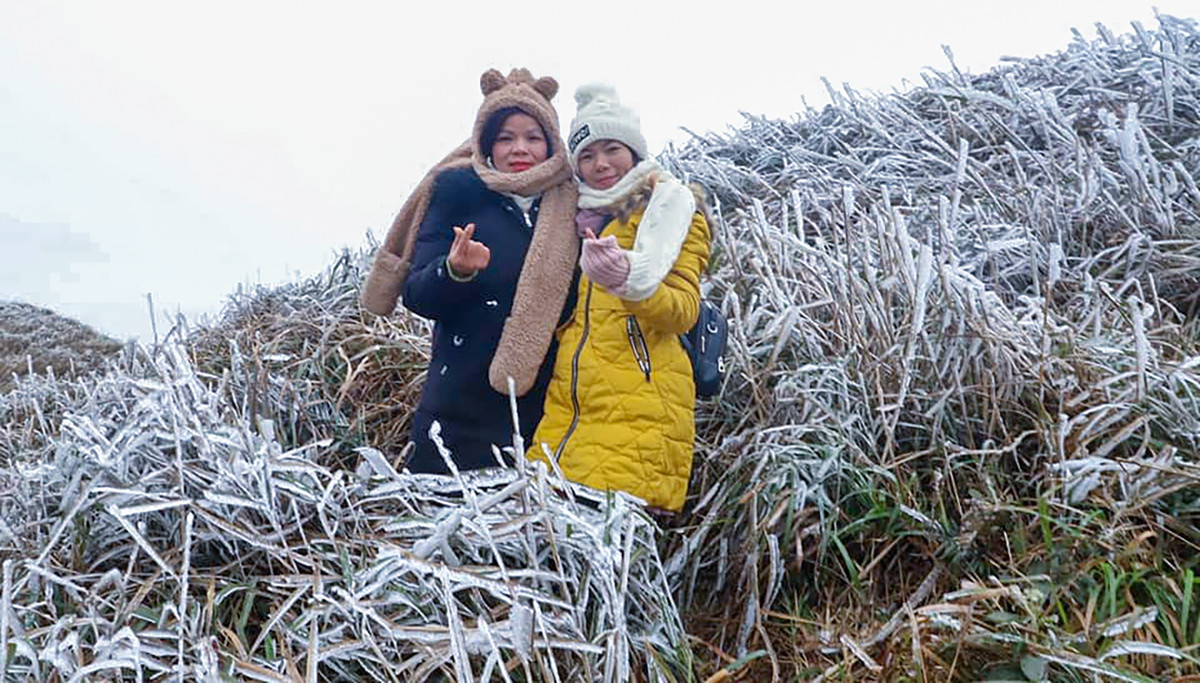 Trước khung cảnh tuyệt đẹp này, nhiều người dân và khách du lịch tranh thủ lên đây để chụp ảnh. Chị Lành, người dân địa phương, cho biết nhiều địa điểm của huyện Bình Liêu như núi Cao Ba Lanh, Cao Xiêm, đường dẫn lên cột mốc 1305, 1327 xuất hiện băng tuyết. Trước đó, vào năm 2018 các khu vực này từng xuất hiện tuyết.