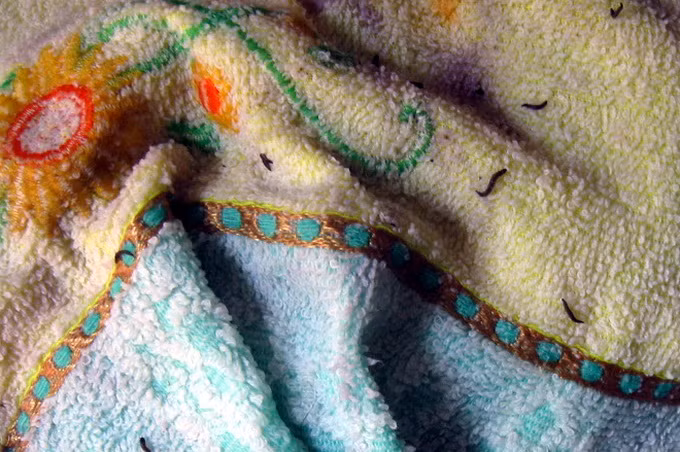 Trước đó không lâu, tại Đồng Nai, dư luận cũng xôn xao về chiếc khăn dán mác Made in China nở ra côn trùng màu đen. Ngay sau đó những côn trùng này được mang đi xét nghiệm tại Viện Sốt rét - Kí sinh trùng - Côn trùng TP HCM để xác định loại côn trùng và nguồn gốc của nó.