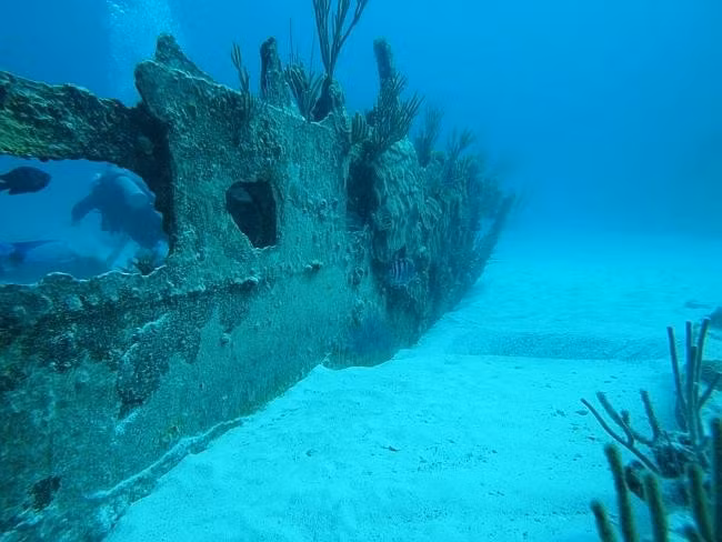 Tam giác Bermuda hay còn gọi là “tam giác quỷ” vốn là một khu vực bí ẩn với nhiều câu chuyện về những vụ mất tích liên quan tới tàu thủy, máy bay hay thủy thủ đoàn. Đây là địa điểm tập trung nhiều xác tàu đắm nhất trên thế giới. Ảnh: Dive Bermuda.