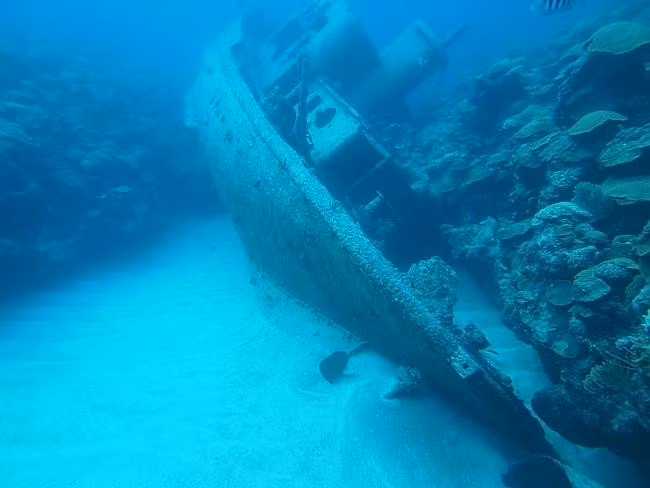 Một trong số những vụ đắm tàu lịch sử nhất đã xảy ra tại Đại Tây Dương liên quan tới tàu thương gia hai cột buồm của Mỹ Mary Celestia. Đây là con tàu chạy bằng hơi nước. Nó được sử dụng là phương tiện vận chuyển súng lậu, đạn dược, vật dụng, lương thực cho quân đội ở phía nam trong cuộc nội chiến Mỹ. Năm 1838, con tàu dài 68 m chìm sau khi va chạm với một rạn san hô gần bờ phía nam. Ngày 4/12/1872, người ta tìm thấy Mary Celestia khi nó đang trôi dạt tự do ngoài khơi Bồ Đào Nha. Toàn bộ thủy thủ đoàn biến mất không để lại một dấu vết, trong khi mọi thứ trên tàu đều còn nguyên vẹn. Ảnh: Dive Bermuda.