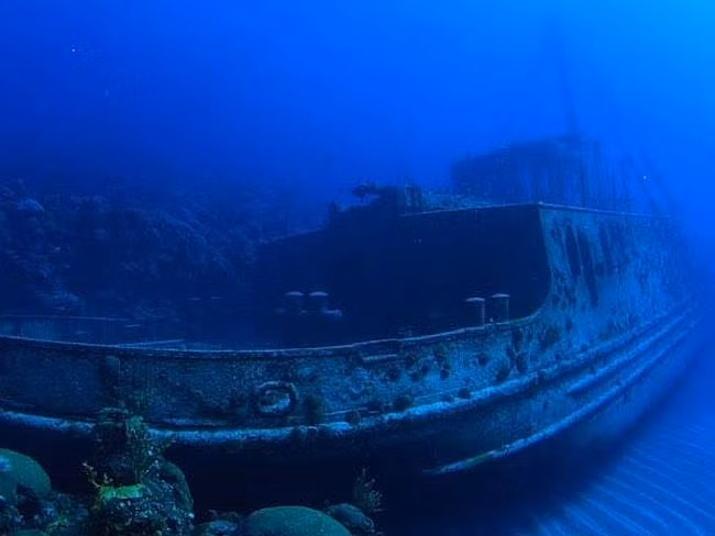 Hàng trăm con tàu đắm vẫn còn khá nguyên vẹn mặc dù thời tiết ở Bermuda khắc nghiệt. Nơi đây hiện là “sân chơi” của những người đam mê lặn. Ảnh: Dive Bermuda.