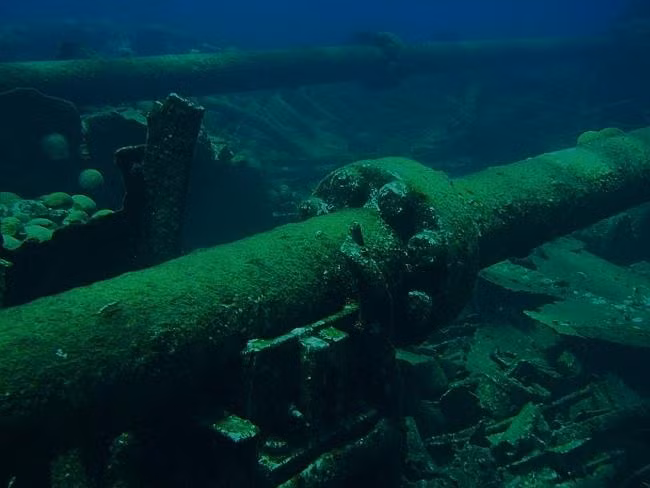 Xác tàu đắm tại "tam giác quỷ" trở thành "nhà" cho các loài cá và rạn san hô. Ảnh: Cait Stewart.