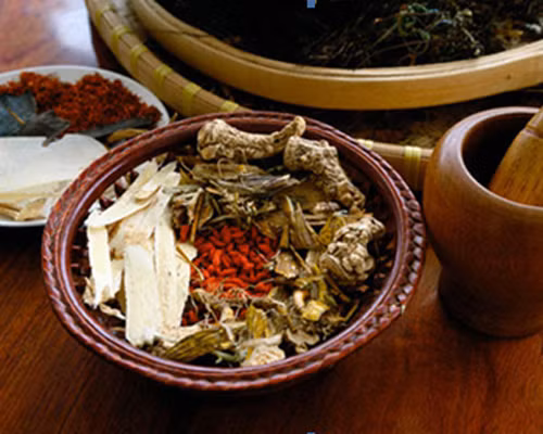 Đông dược trong điều trị thiếu máu não.